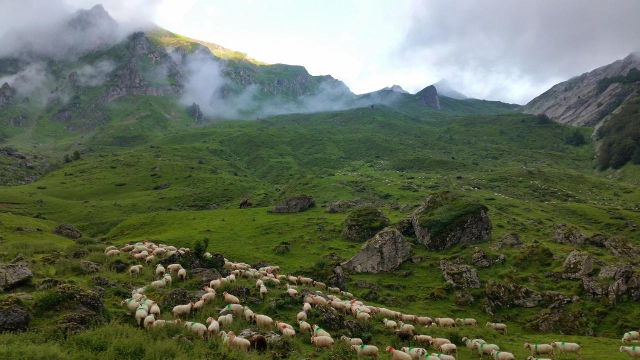 Gite De Montagne Du Plateau De Lhers- Accueil Randonneurs Accous Exterior foto