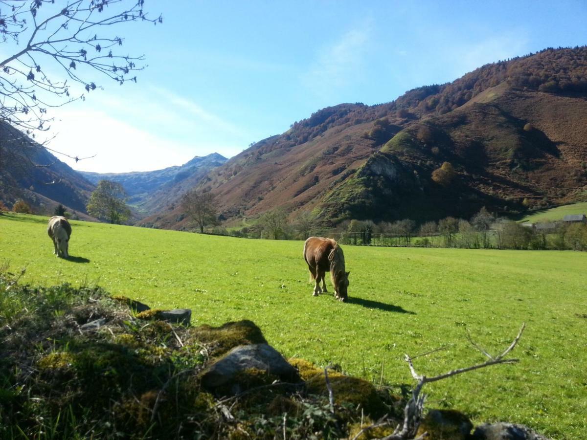 Gite De Montagne Du Plateau De Lhers- Accueil Randonneurs Accous Exterior foto