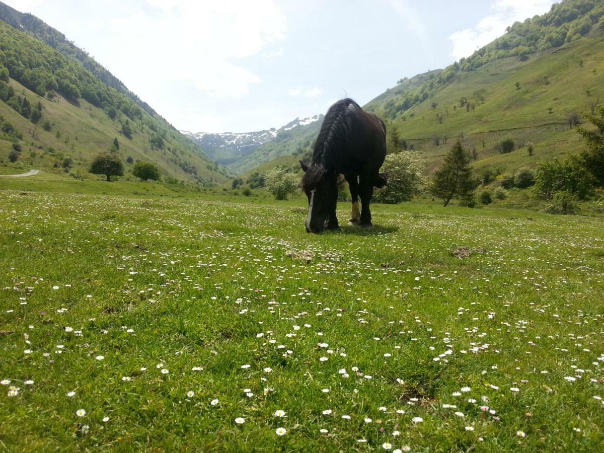 Gite De Montagne Du Plateau De Lhers- Accueil Randonneurs Accous Exterior foto